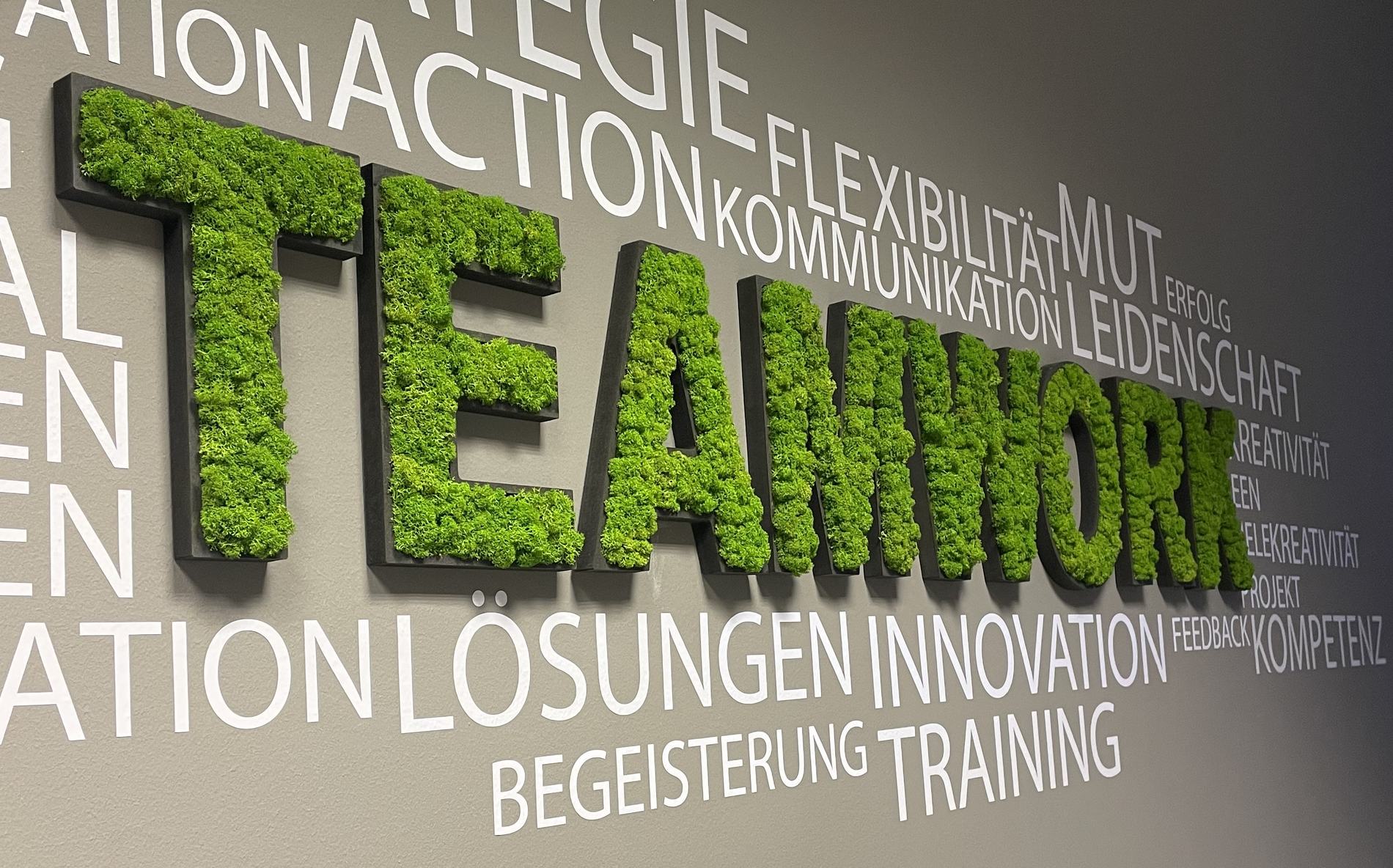 TEAMWORK-Wand in Moosoptik im Büro von Team Wachsbleiche